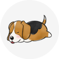 Nap